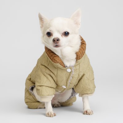 RURRI Комбинезон для собак, XS, бежевый