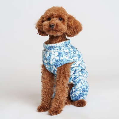 Petmax Комбинезон на замке для собак, XL, голубо-белый (девочка)