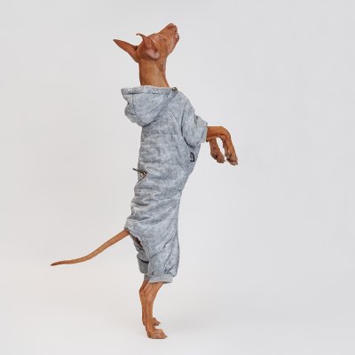 RURRI Комбинезон с капюшоном для собак, 2XL, серый