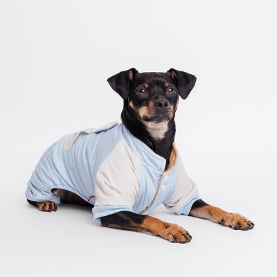 Petmax Комбинезон для собак Ушки, 2XL, голубой