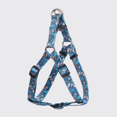 Rungo Шлейка нейлоновая для кошек и собак Step-in, объем груди 45-63 см, ширина ремешка 1,5 см, цветочный синий