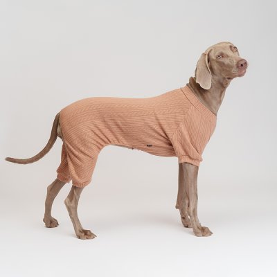 RURRI Костюм светлый трикотажный для собак, 4XL