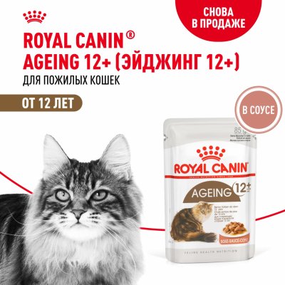Консервы, паучи Royal Canin паучи Паучи для кошек старше 12 лет, AGEING 12+, кусочки в соусе, 28 шт (28 шт)
