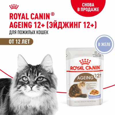 Консервы, паучи Royal Canin паучи Паучи для кошек старше 12 лет, кусочки в желе, Ageing 12+ (28 шт)