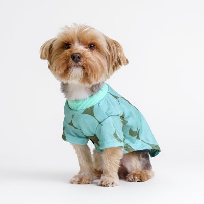 RURRI Футболка для кошек и собак, S, зеленая