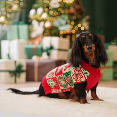 Petmax Свитер для собак Птички, 4XL, красный