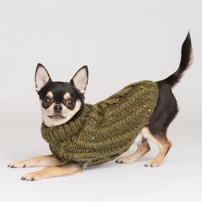 RURRI Свитер для кошек и собак, S, зеленый