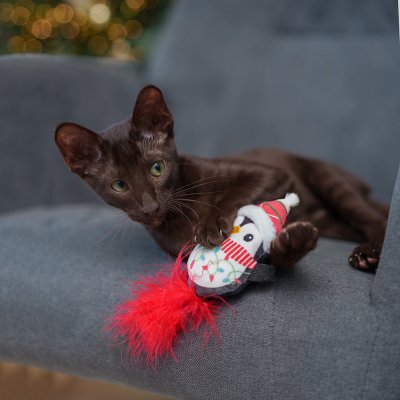 RURRI Игрушка для кошек Пингвин, 7х3х14 см
