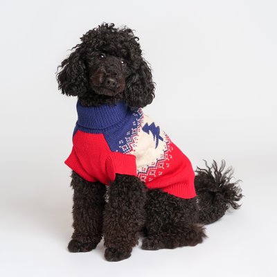 Petmax Свитер для кошек и собак Елочки, L, сине-красный