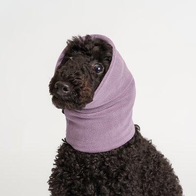 RURRI Снуд для собак, L, фиолетовый