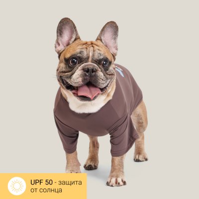 RURRI Футболка для собак Друг человека, L, коричневая