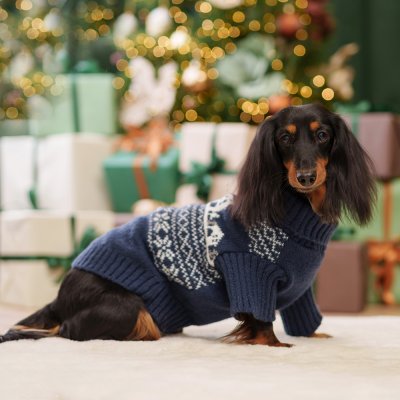 RURRI Свитер для кошек и собак Снежинки, XL, синий