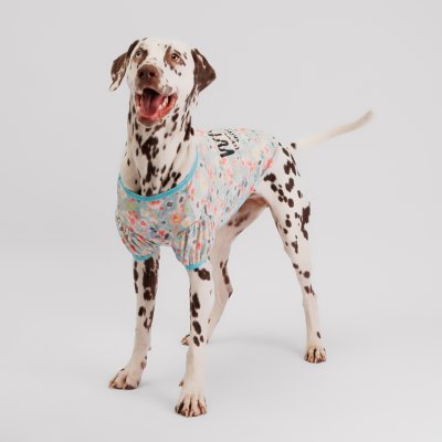 Petmax Футболка для собак, 3XL, зеленая с цветочками