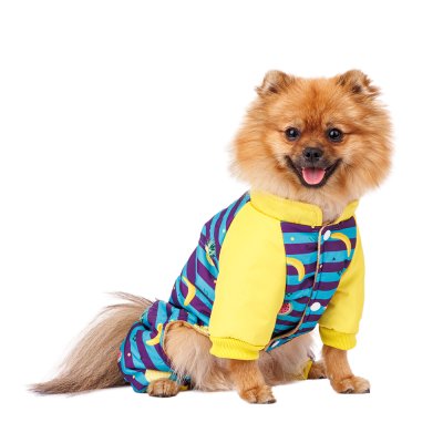 Petmax Комбинезон в полоску с фруктами для собак, XL, голубой (унисекс)