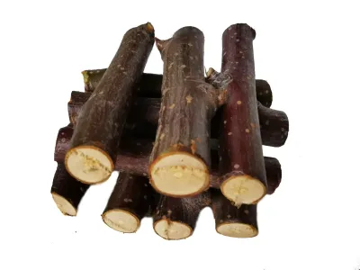 Мир чудес Лакомство Веточки яблони (50 гр.), для грызунов