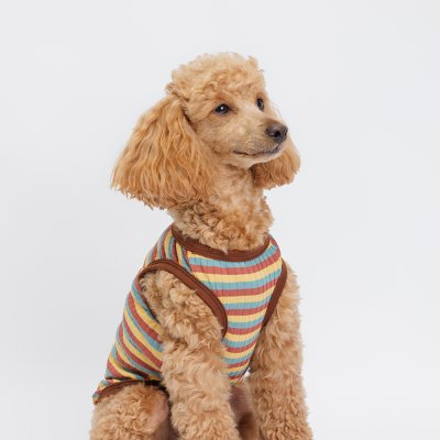 Petmax Майка полосатая с ленивцем для собак, 4XL, коричневая