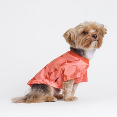 RURRI Футболка для кошек и собак, S, оранжевая