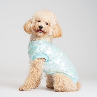 Petmax Куртка для собак, 2XL, голубая (унисекс)