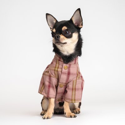 RURRI Рубашка с бантом для собак, M, красная