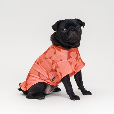 RURRI Футболка для кошек и собак, L, оранжевая