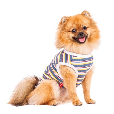 Petmax Футболка для собак, XS, в разноцветную полоску (унисекс)