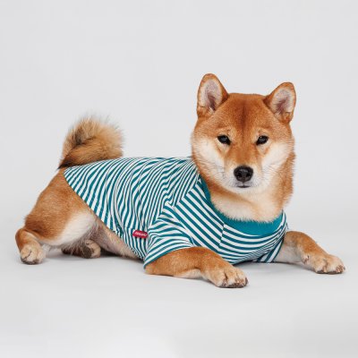 Petmax Футболка для собак и кошек, 3XL, зеленая в полоску