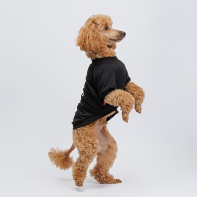 Petmax Футболка для кошек и собак Happy, 2XL, черная