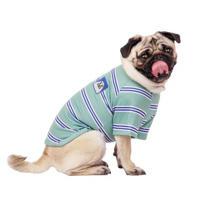 Petmax Футболка для собак 2XL зеленый (унисекс)