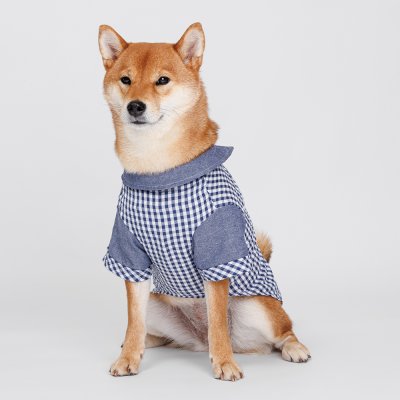 Petmax Рубашка в клетку для кошек и собак, 2XL, синяя