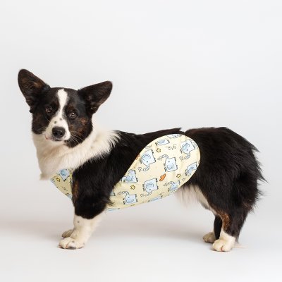 Petmax Дождевик-фартук для собак, XL, желтый (мальчик)