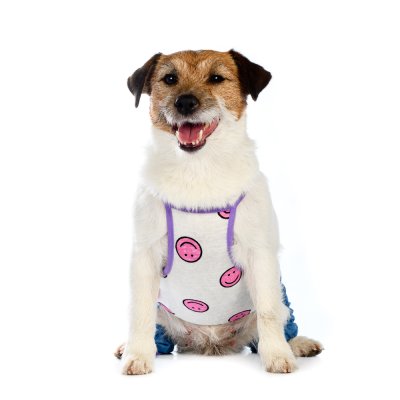 Petmax Костюм летний для собак XS синий (унисекс)