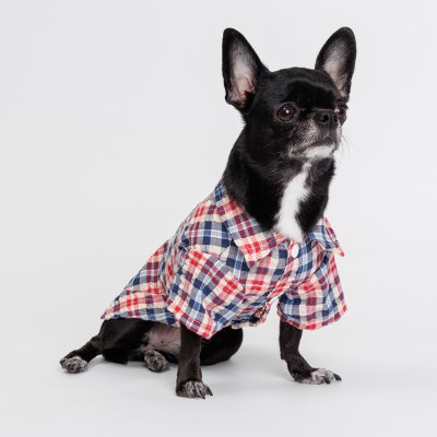 Petmax Рубашка в клеточку для кошек и собак, S, сине-красная