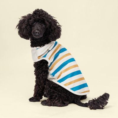 RURRI Майка для собак и кошек Аквамарин, 2XL, песочно-синяя в полоску (унисекс)