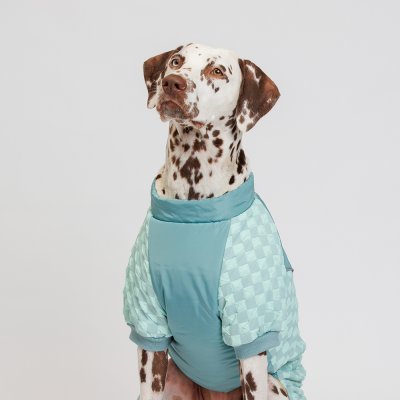 Petmax Комбинезон на замке для собак, 4XL, голубой (девочка)