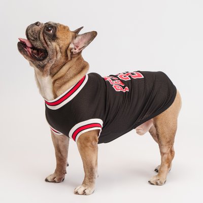 Petmax Футболка сетчатая для собак, XL, черная