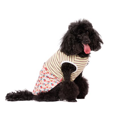 Petmax Платье для собак в полоску M желтый (девочка)