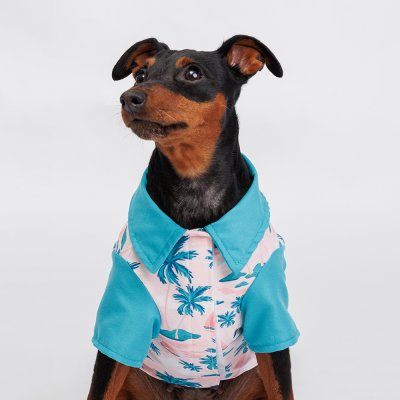 RURRI Футболка для кошек и собак, L, голубая с принтом