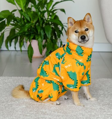 Одежда Tappi одежда Дождевик "Дино" для собак (L)