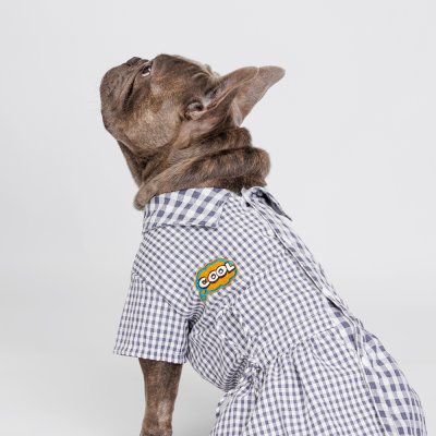 Petmax Платье-рубашка для кошек и собак, L, синее в клетку