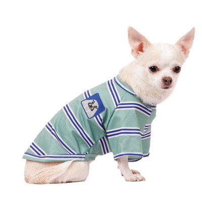 Petmax Футболка для собак XS зеленый (унисекс)