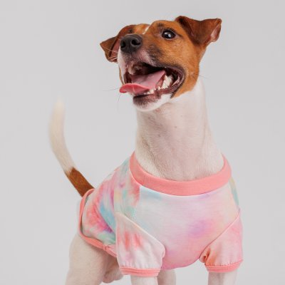 RURRI Футболка для собак Every Mom Queen, M