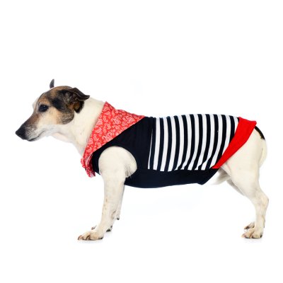 RURRI Футболка с капюшоном для собак Space-Travel XL синий (унисекс)