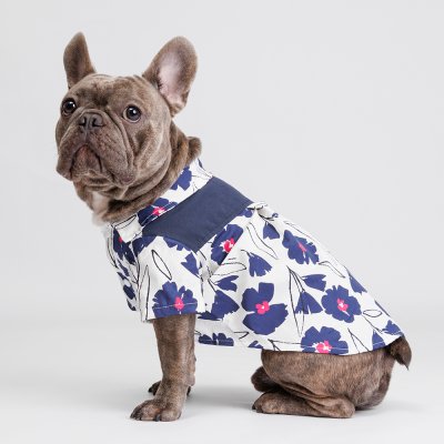 Petmax Футболка с синими цветами для собак и кошек, L