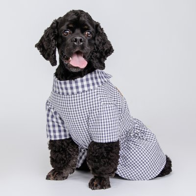 Petmax Платье-рубашка для собак, 3XL, синее в клетку