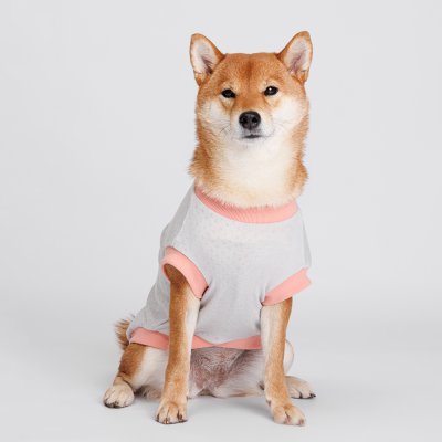 Petmax Футболка с пейзажем для собак, 4XL, серая