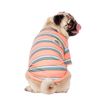 Petmax Футболка для собак, XL, оранжевая (унисекс)