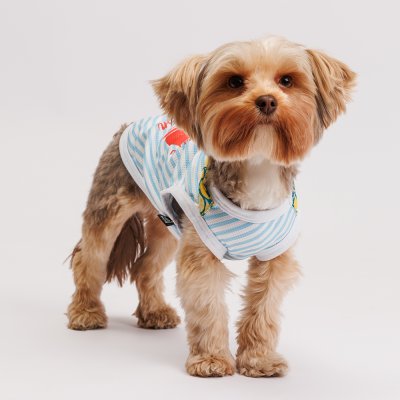 RURRI Футболка с галстуком для собак Cool, M, голубая