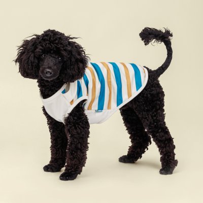 RURRI Майка для собак и кошек Аквамарин, 3XL, песочно-синяя в полоску (унисекс)