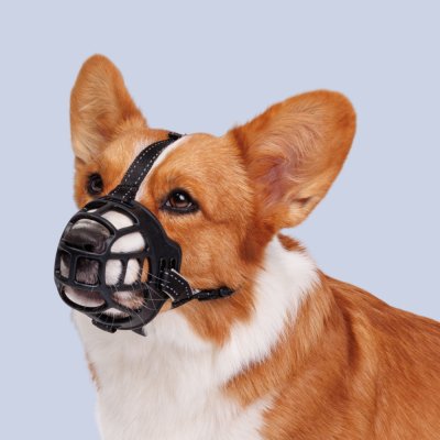 HiPet Намордник для собак силиконовый Ergonomic, M, обхват морды 21-26 см