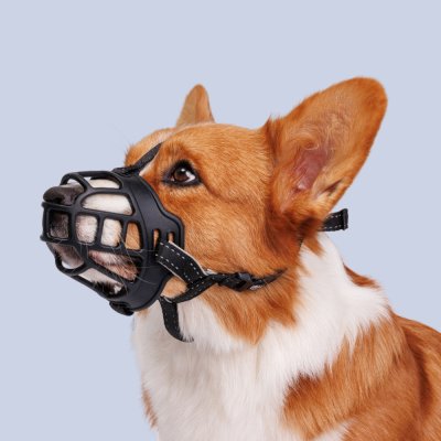 HiPet Намордник для собак силиконовый Ergonomic, L, обхват морды 26-30 см